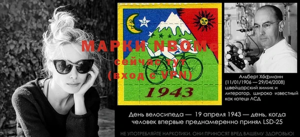 МДПВ Ветлуга