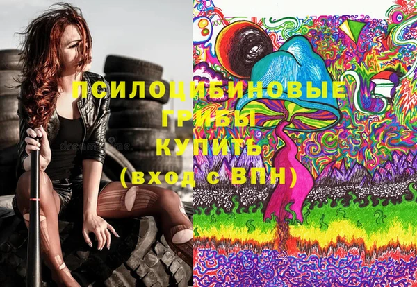 бошки Осташков