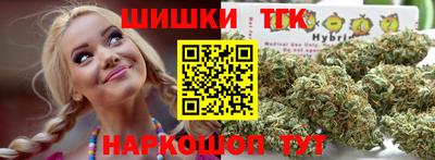 spice Гатчина