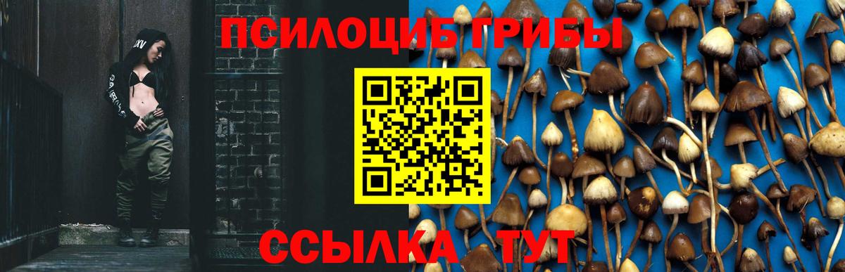 Псилоцибиновые грибы ЛСД Дербент