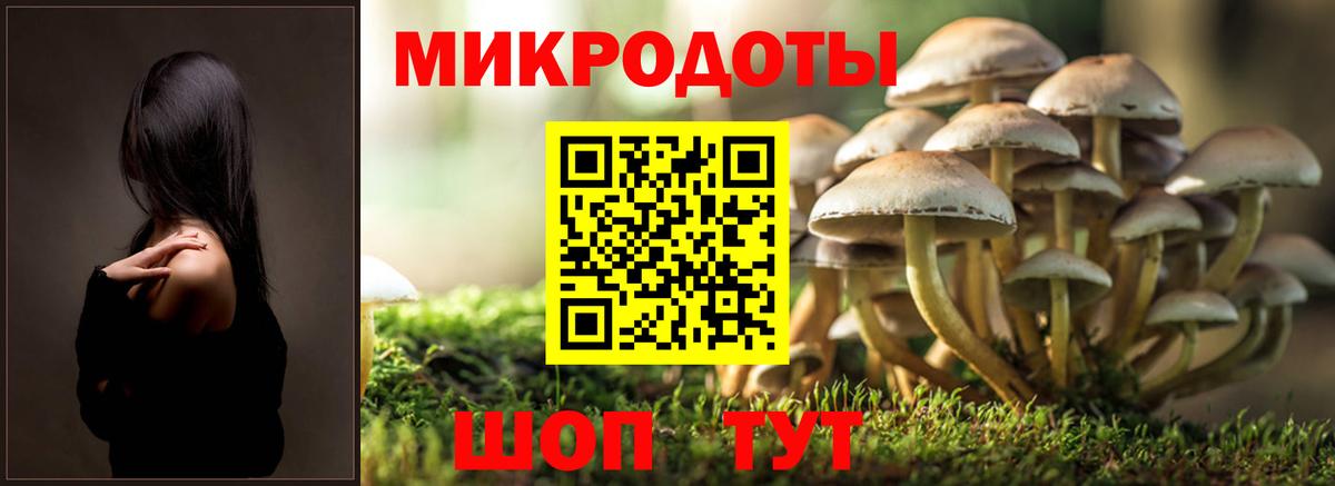 Дербент  Галлюциногенные грибы Cubensis  Вход с VPN  Галлюциногенные грибы Psilocybine cubensis 
