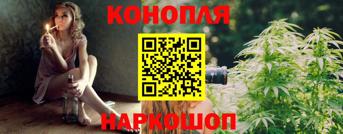 Конопля тримм  Вход с VPN  Бошки марихуана планчик  Бошки марихуана конопля  Дербент 